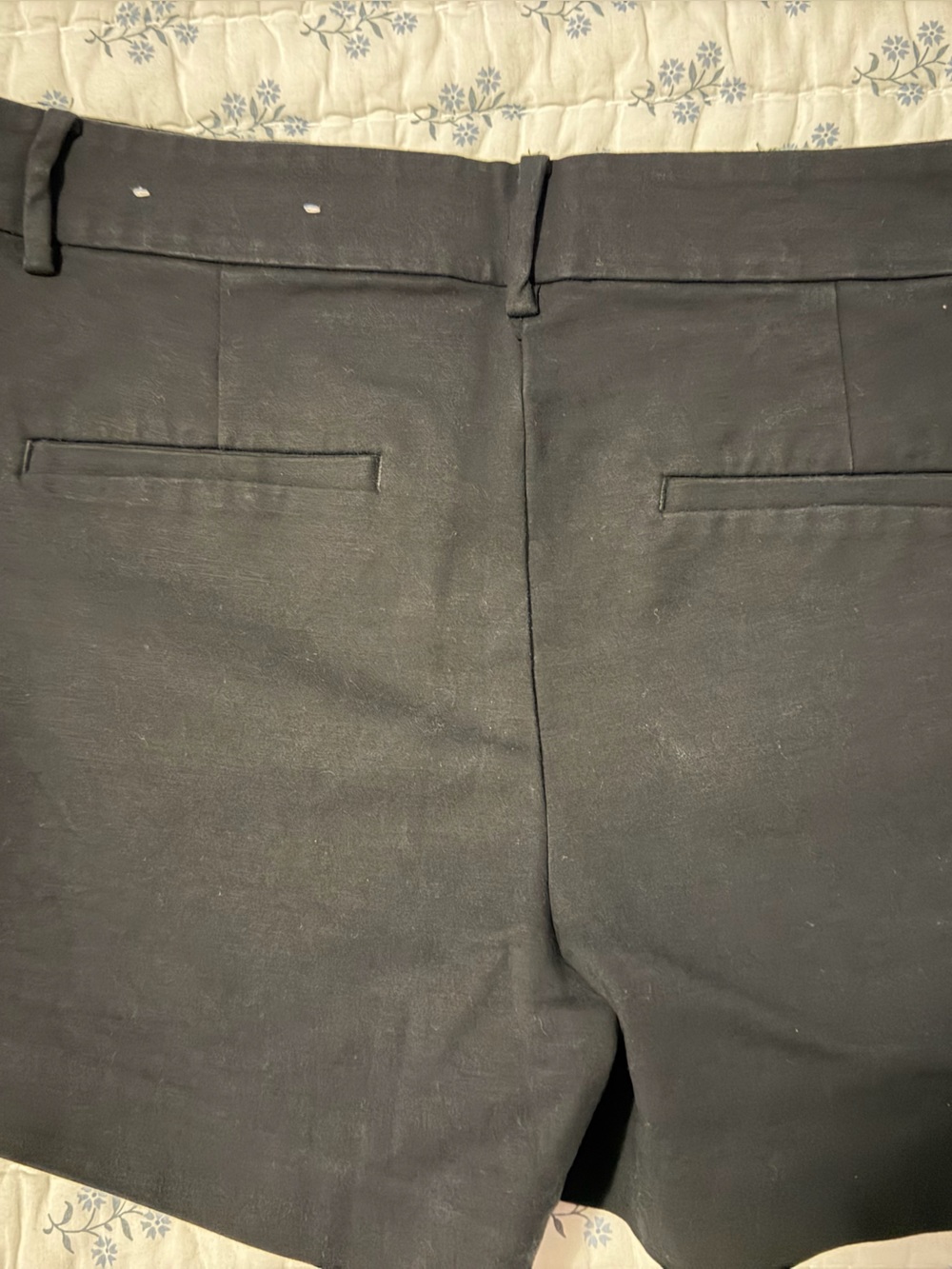 LOFT Black Women's Tailored Shorts